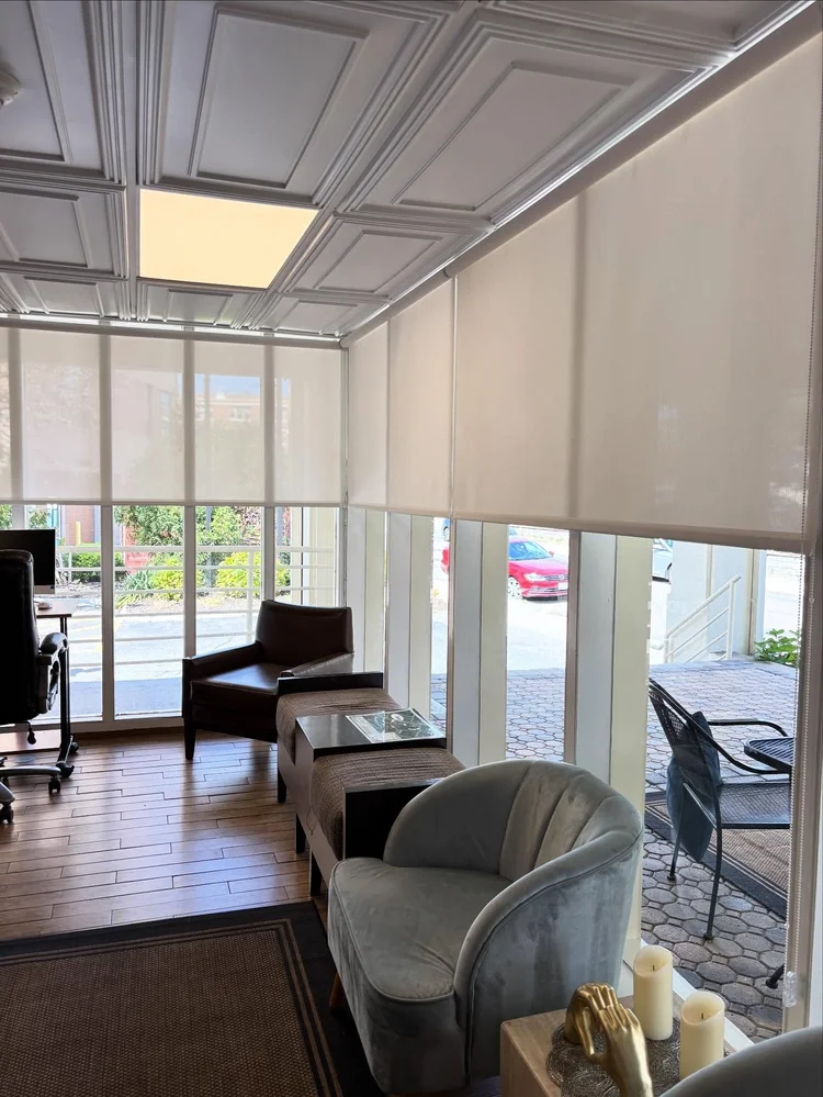 Motorization & Smart Shades
